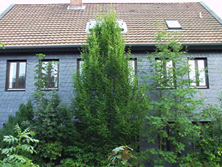 Nordfassade-saniertes Wohnhaus Kleine Strasse in Braunschweig